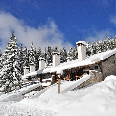 Holiday Village Kochorite Pamporovo Exterior photo